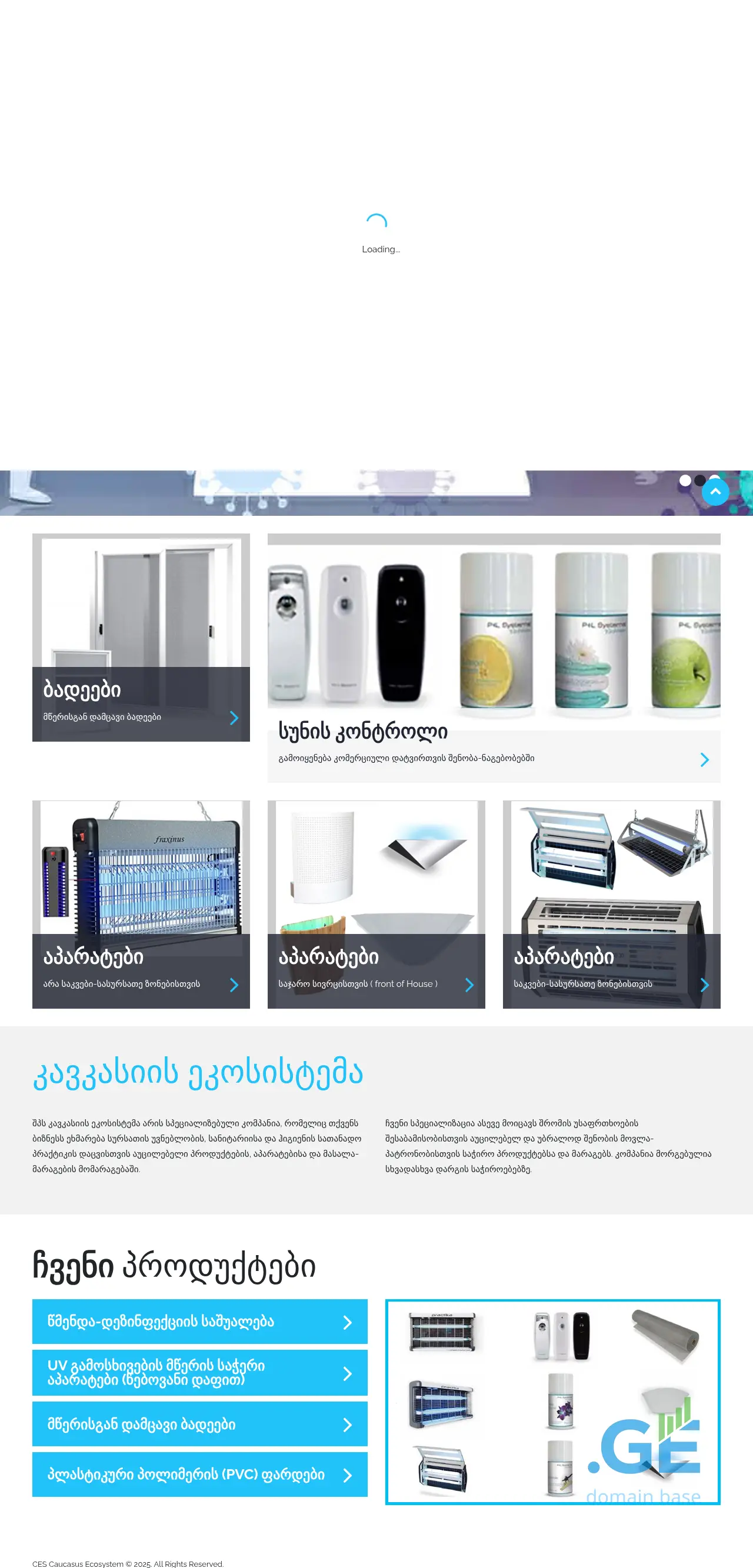 Screenshot of the site cesystem.ge
