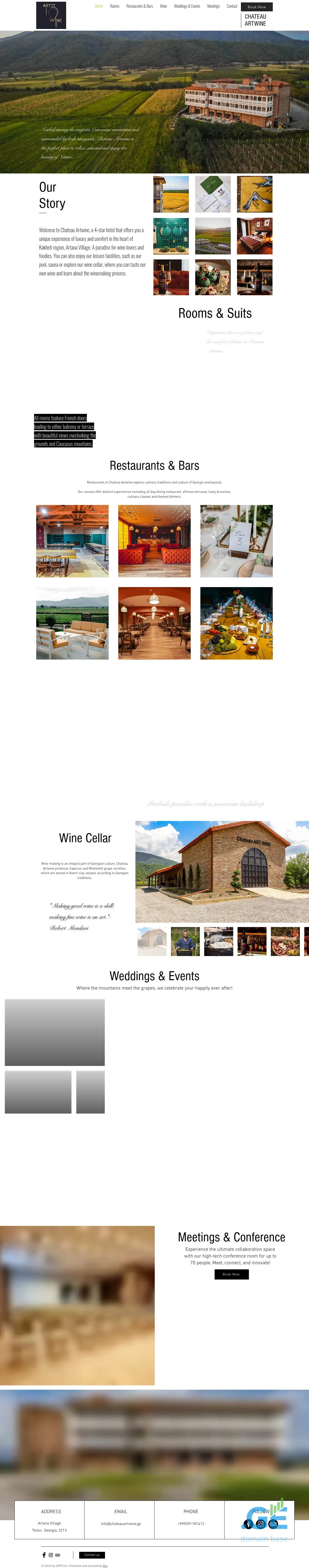 Screenshot of the site chateauartwine.ge