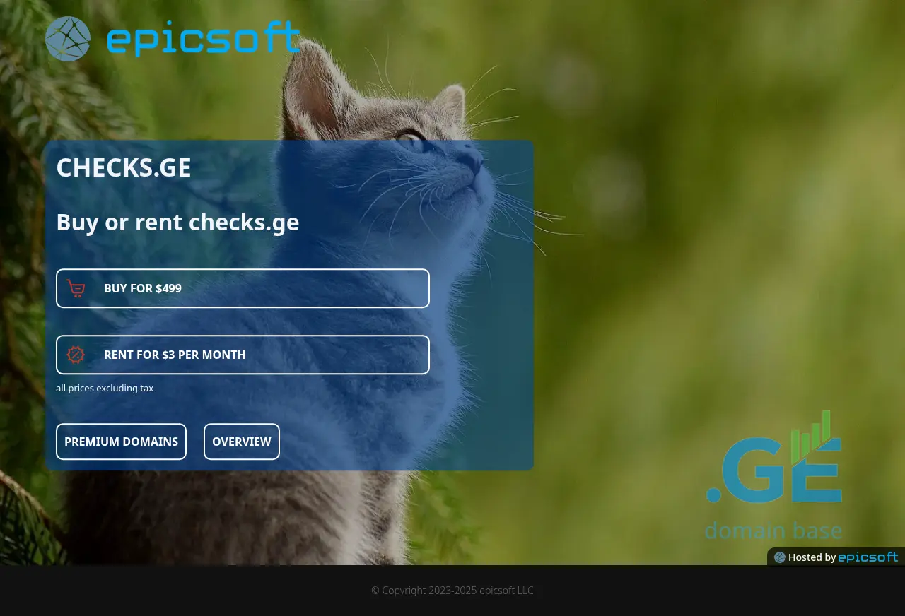 Screenshot of the site checks.ge