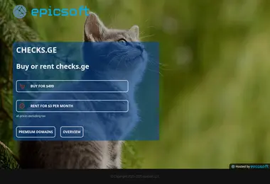 Screenshot of checks.ge