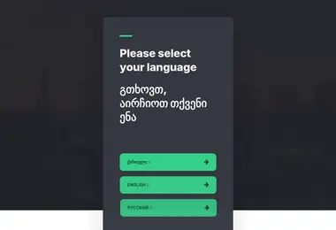Screenshot of chemibiznesi.ge