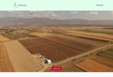Screenshot of cherry.ge
