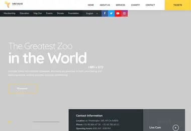 Screenshot of childrights.ge