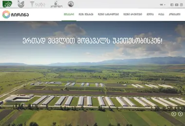Screenshot of chirina.ge