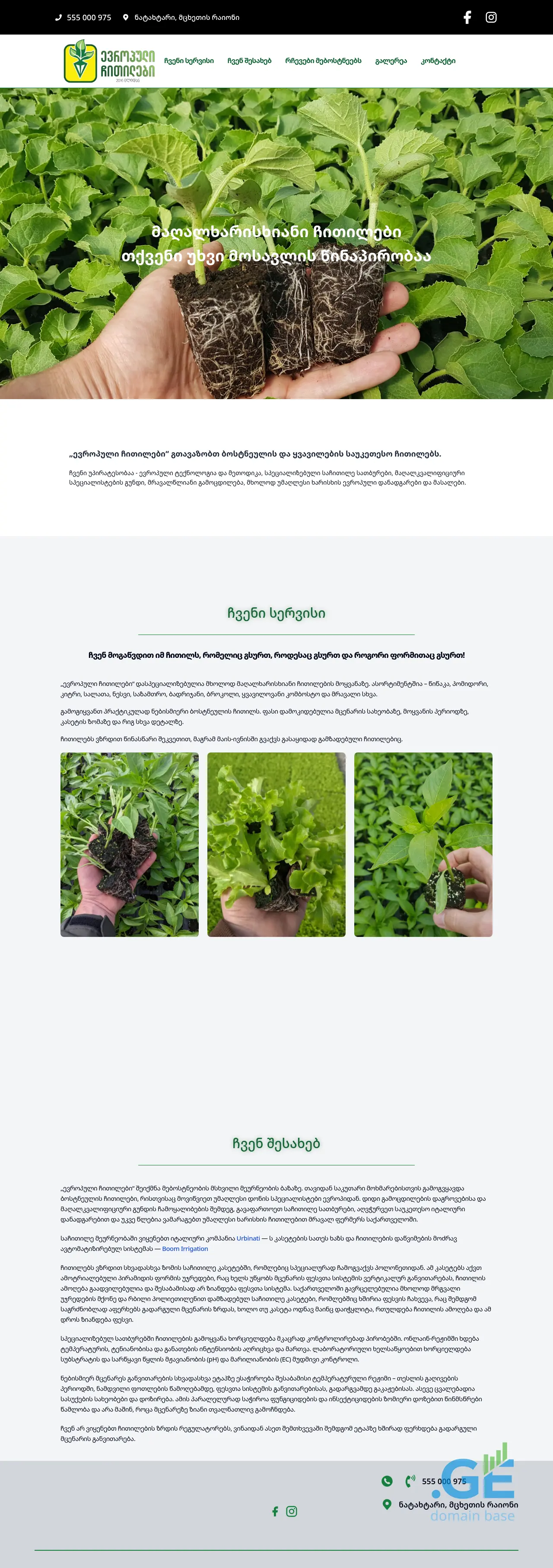 Screenshot of the site chitilebi.ge