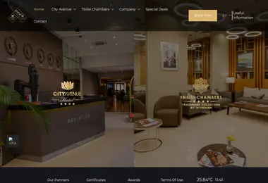 Screenshot of cityhotels.ge