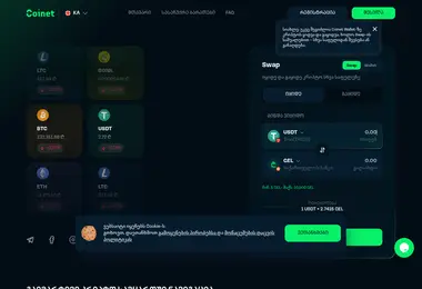 Screenshot of coinet.ge