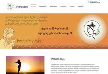 Screenshot of colchimed.ge