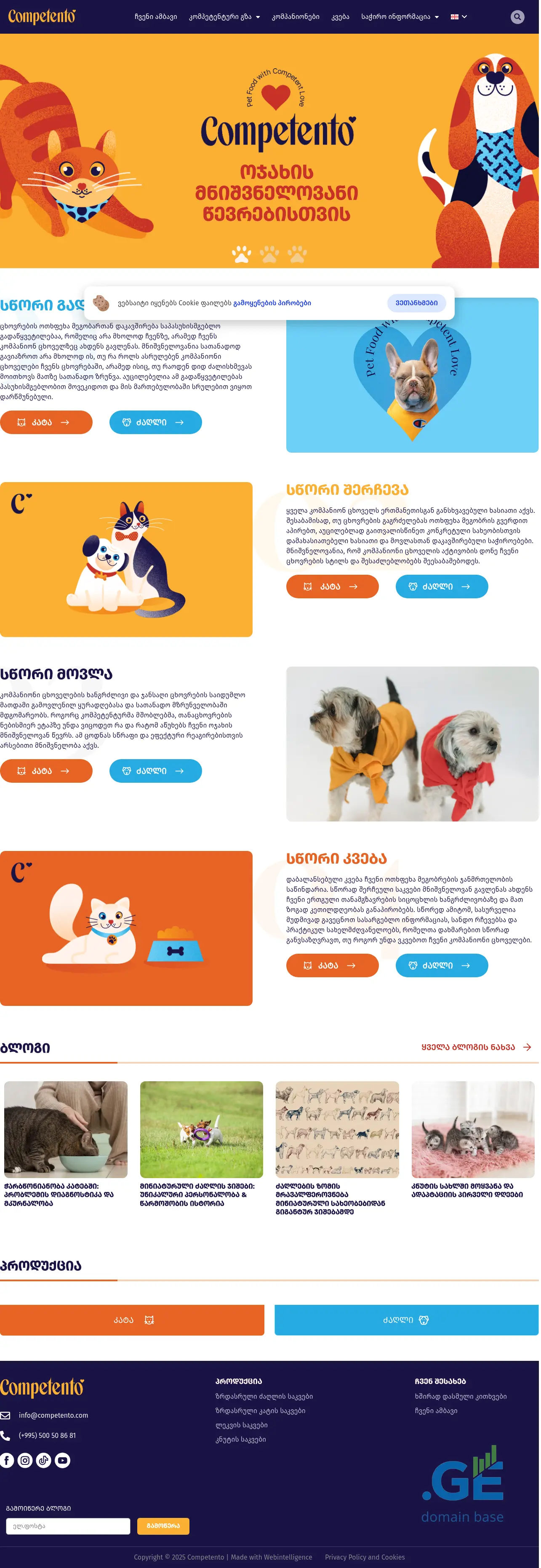 Screenshot of the site competento.ge