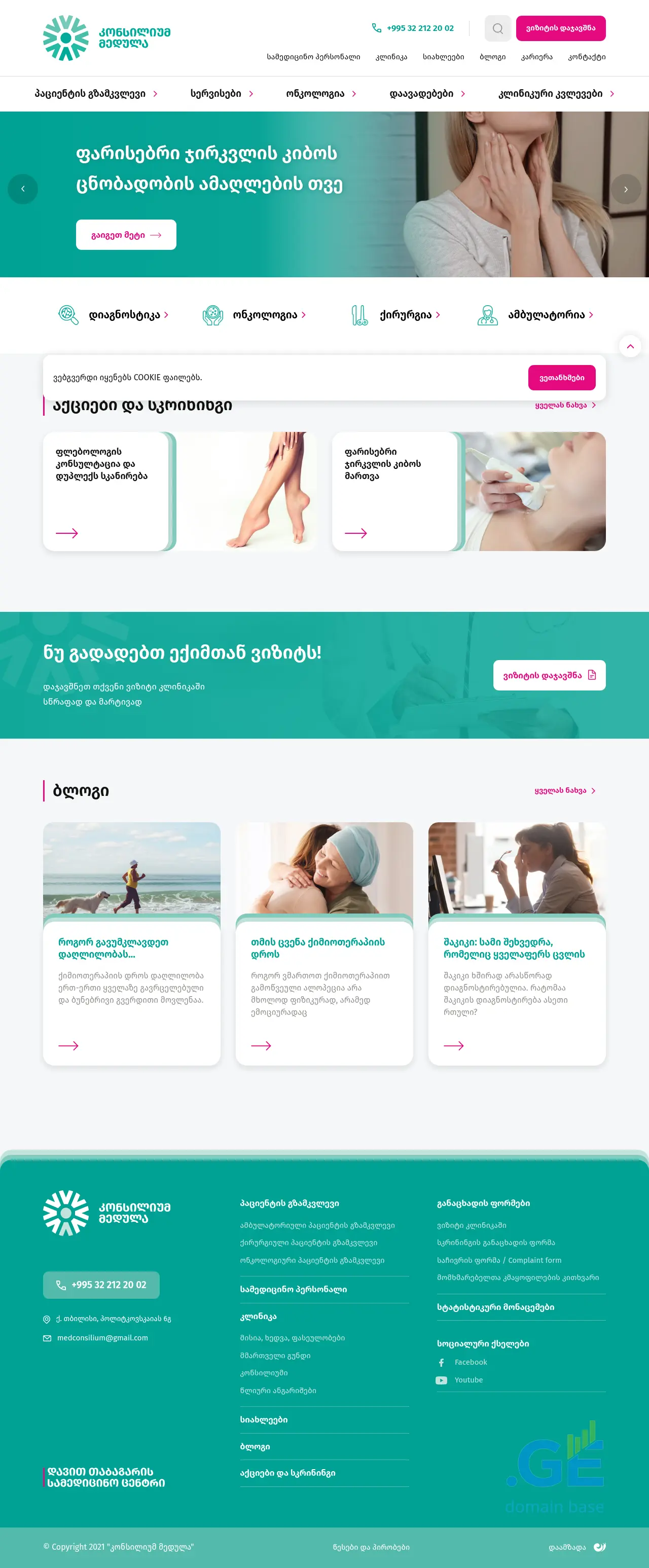 Screenshot of the site consiliummedulla.ge