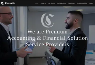 Screenshot of consultis.ge