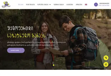 Screenshot of coolcat.ge