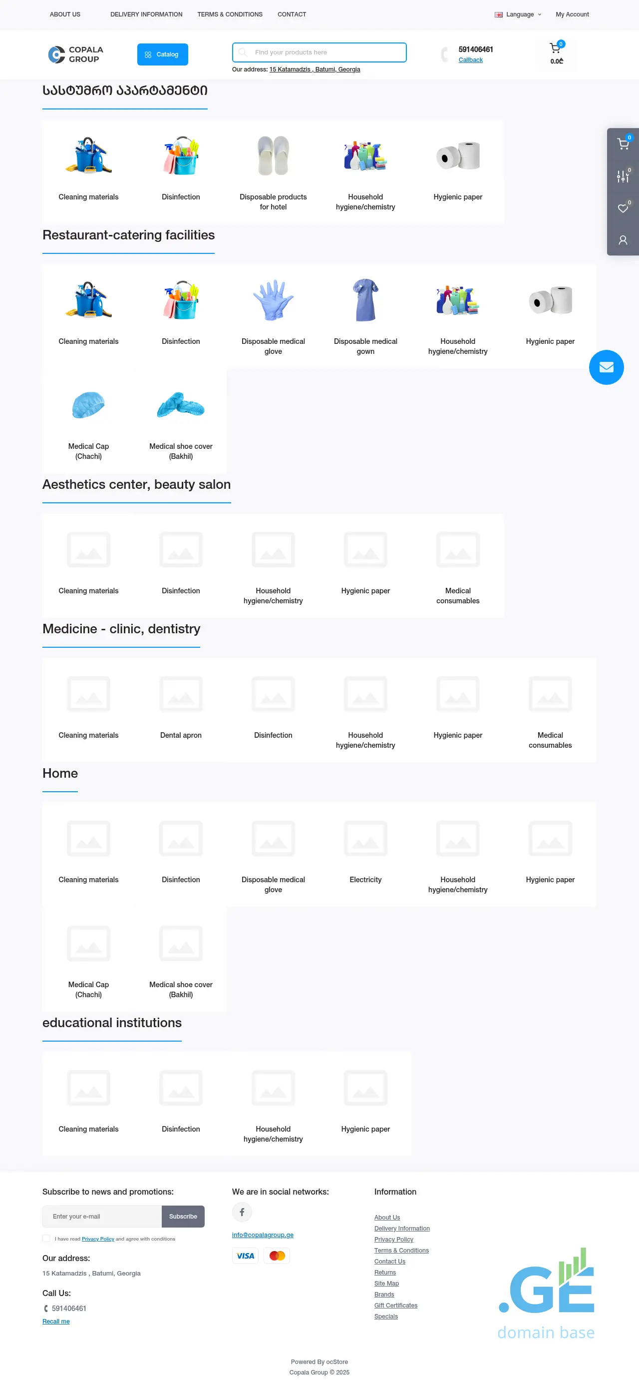 Screenshot of the site copalagroup.ge