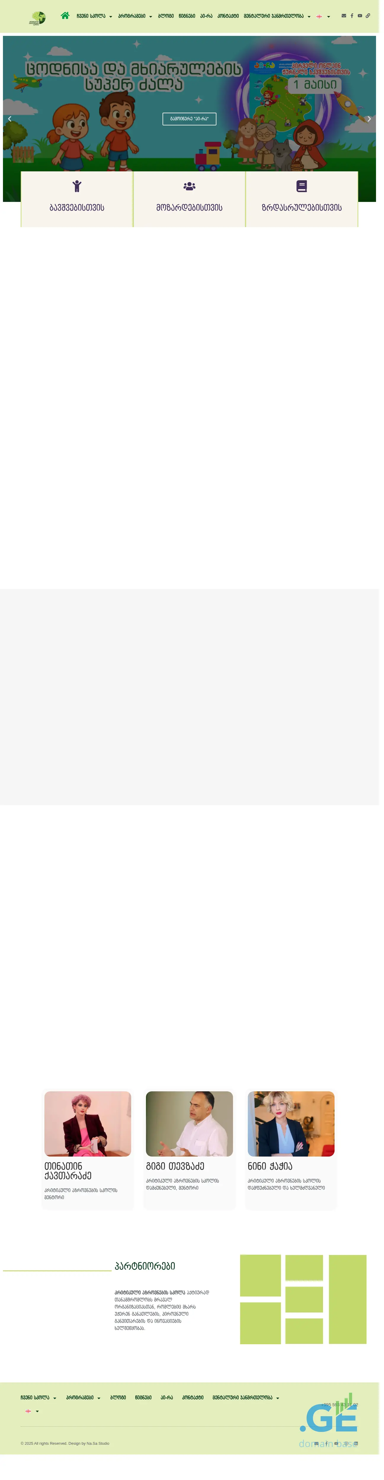 Screenshot of the site criticalthinking.ge