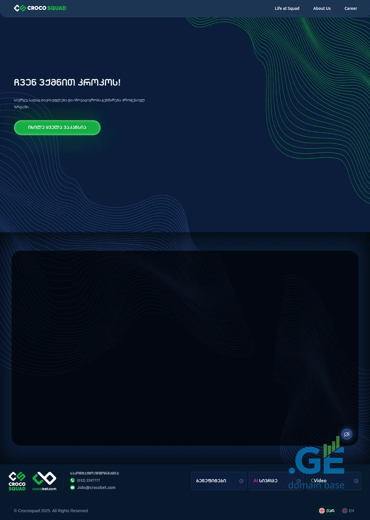 Screenshot of the site crocosquad.ge