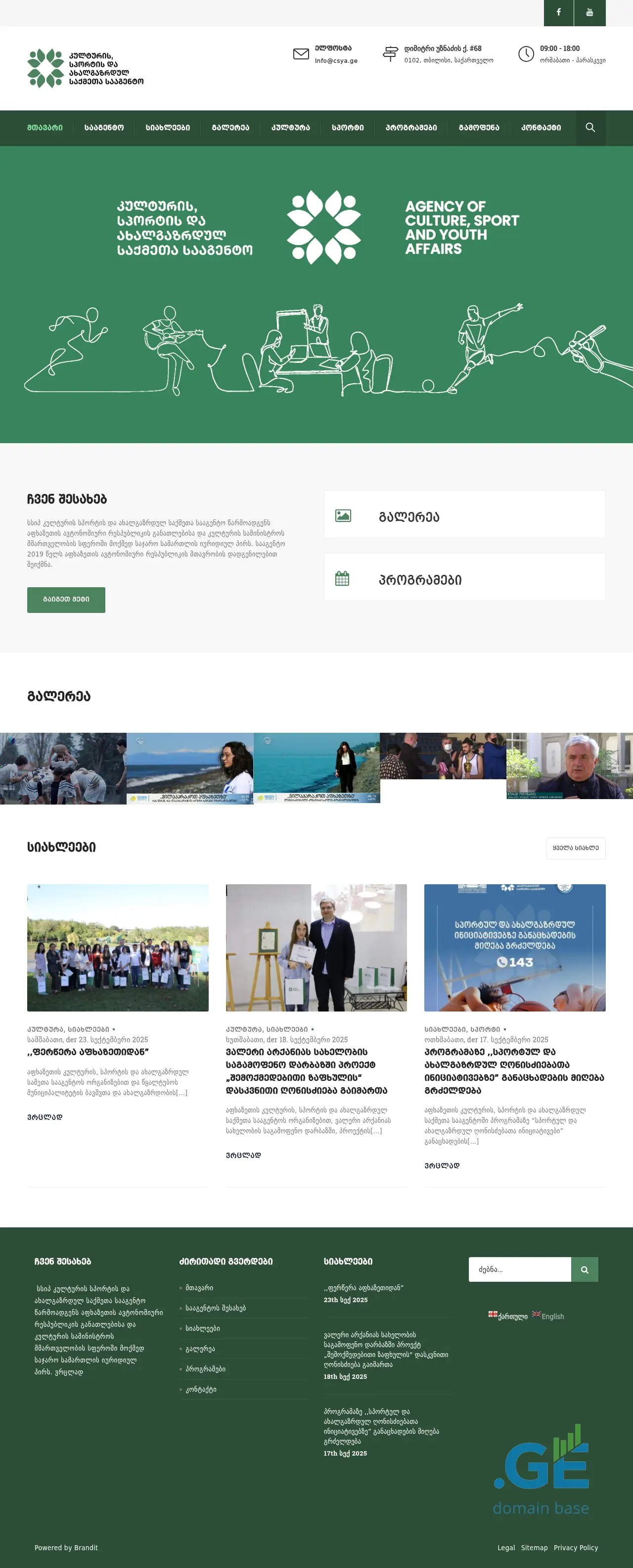 Screenshot of the site csya.ge