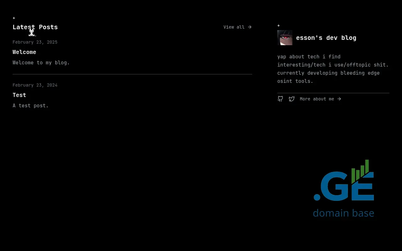 Screenshot of the site cyberespiona.ge