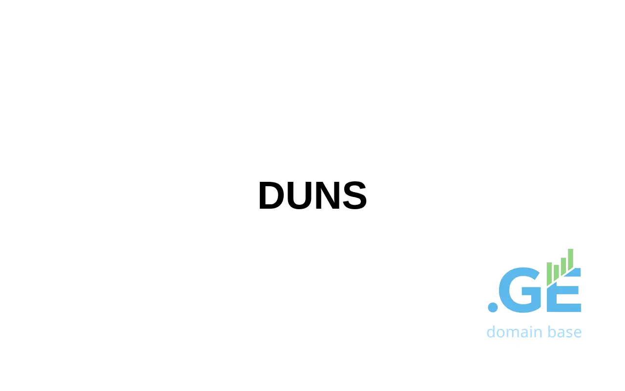 Screenshot of the site d-u-n-s.ge