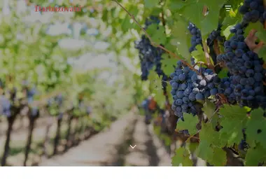 Screenshot of darbazovani.ge