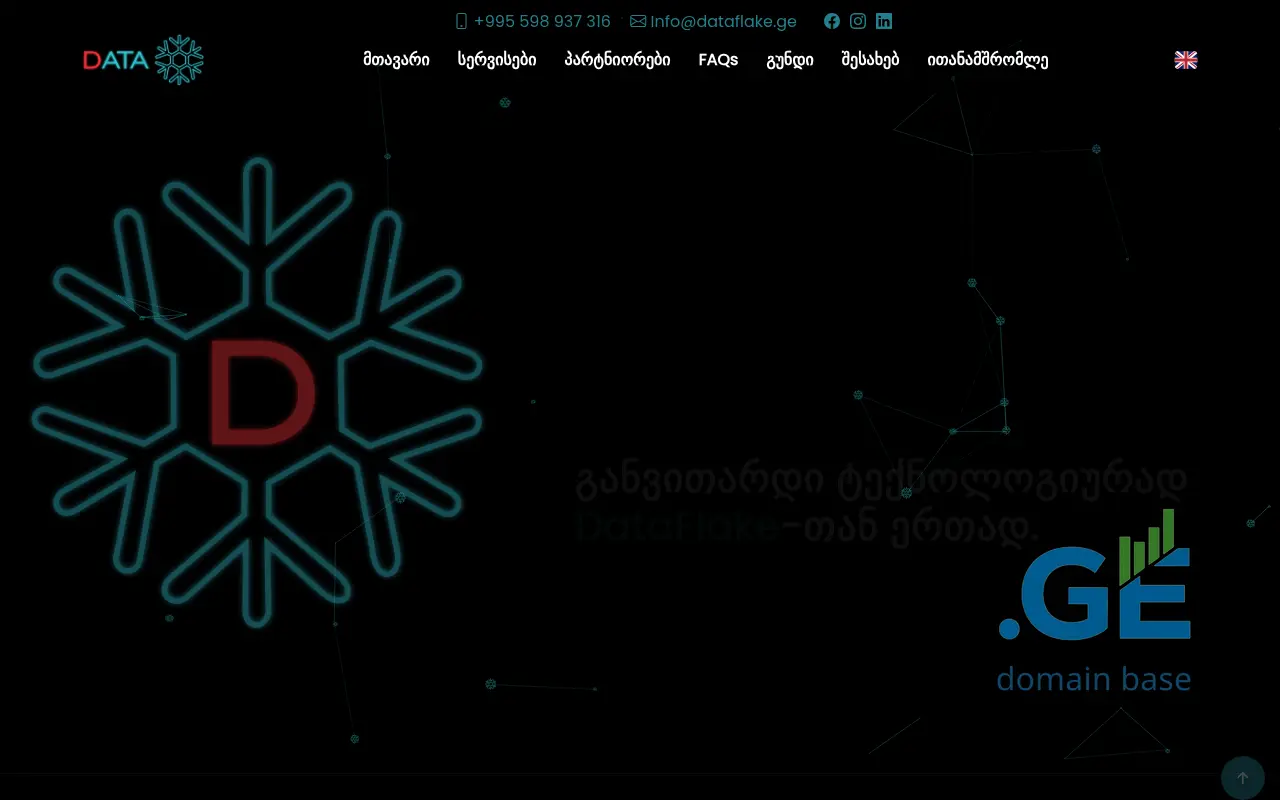 Screenshot of the site dataflake.ge