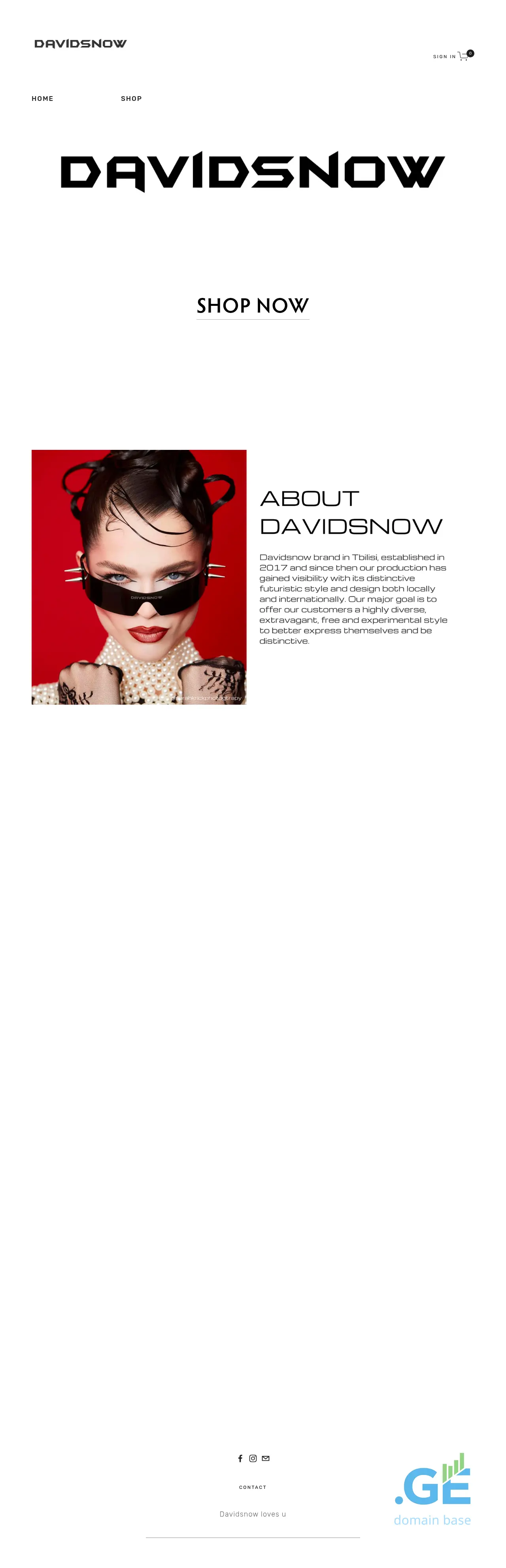 Screenshot of the site davidsnow.ge