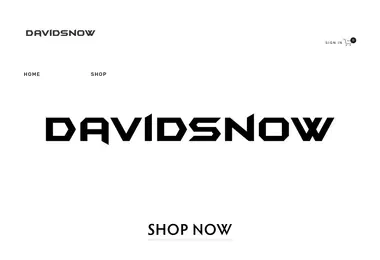 Screenshot of davidsnow.ge