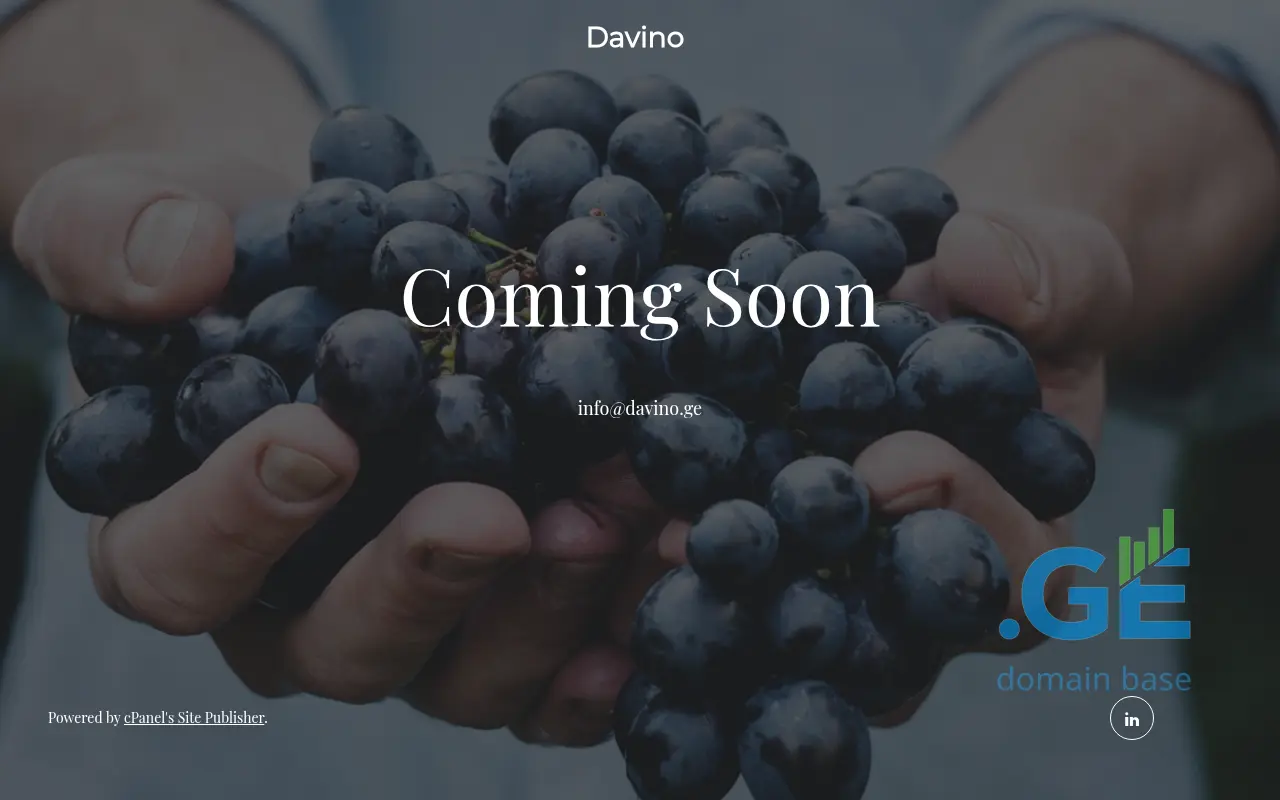 Screenshot of the site davino.ge