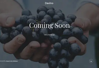 Screenshot of davino.ge