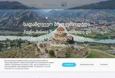 Screenshot of deda-insurance.ge