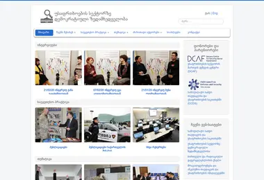 Screenshot of democraticoversight.ge