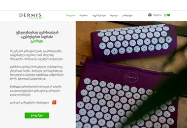 Screenshot of dermis.ge