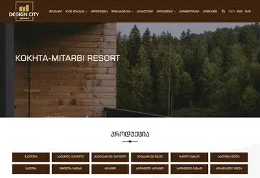 Screenshot of designcity.ge