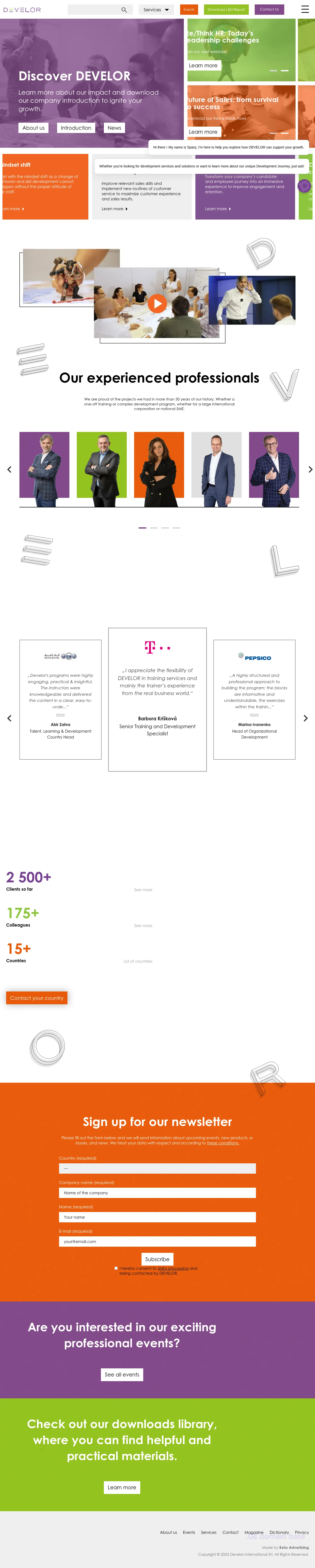 Screenshot of the site develor.ge