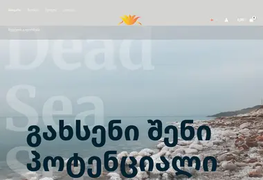 Скриншот didsi.ge