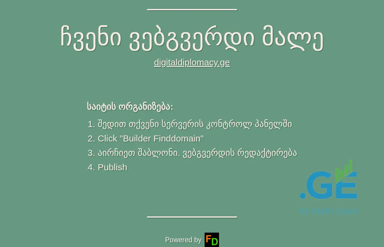 Screenshot of the site digitaldiplomacy.ge