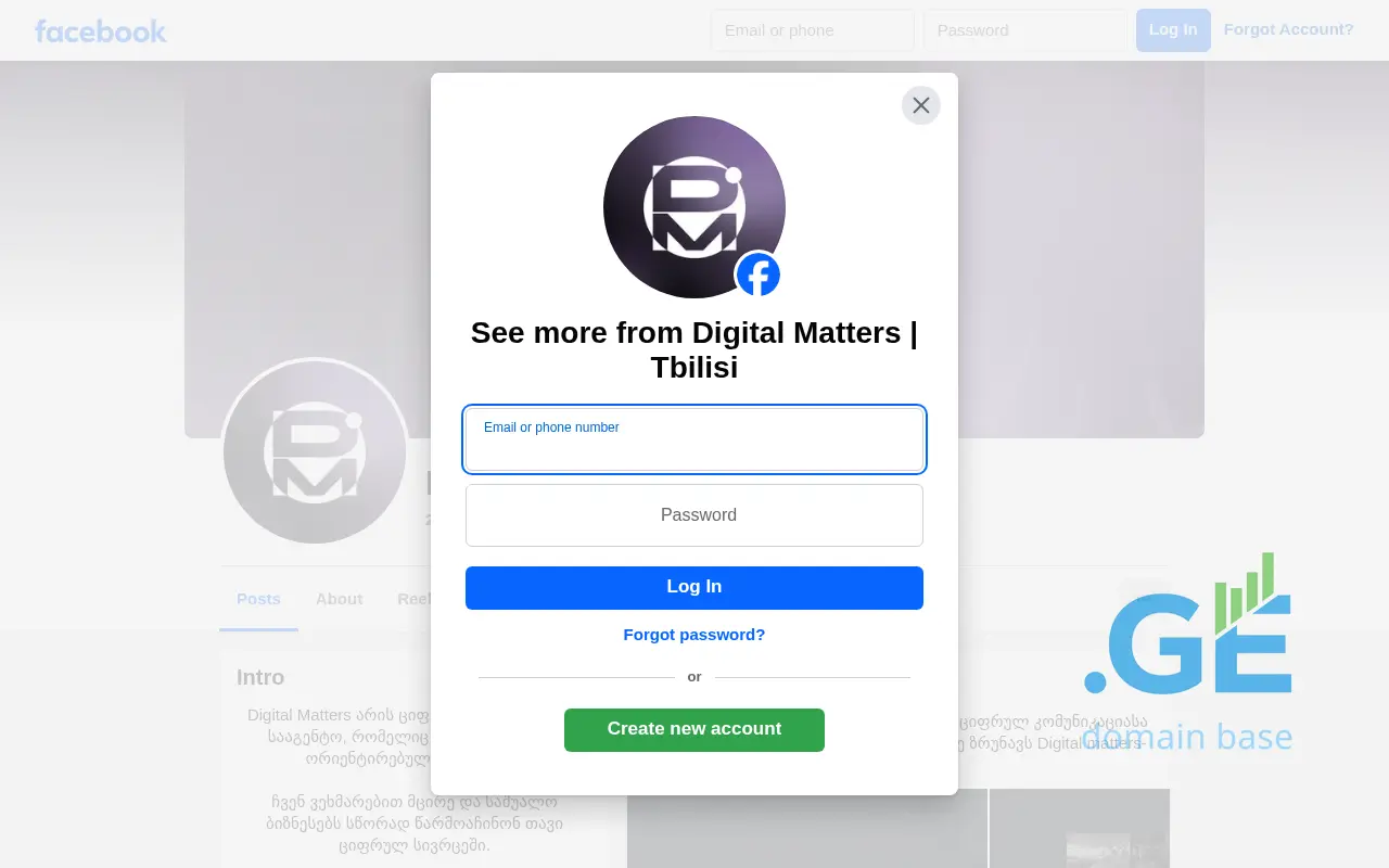 Screenshot of the site digitalmatters.ge
