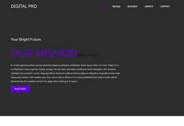 Screenshot of digitalpro.ge