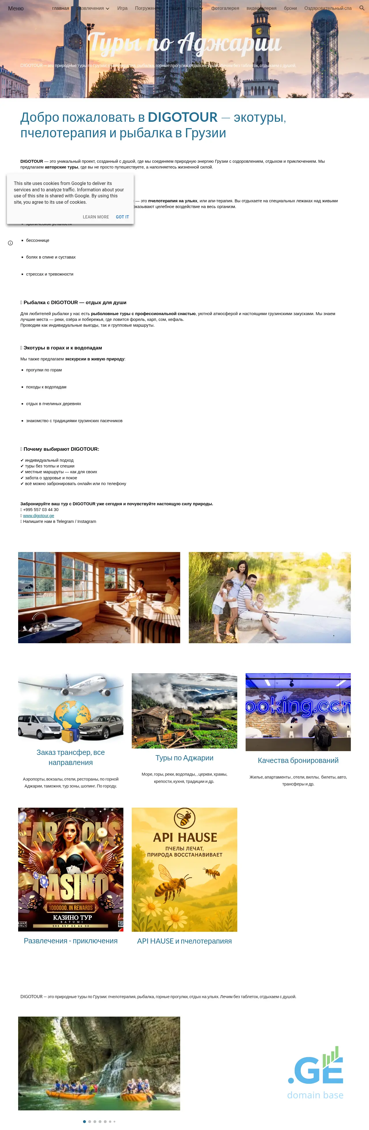 Screenshot of the site digotour.ge