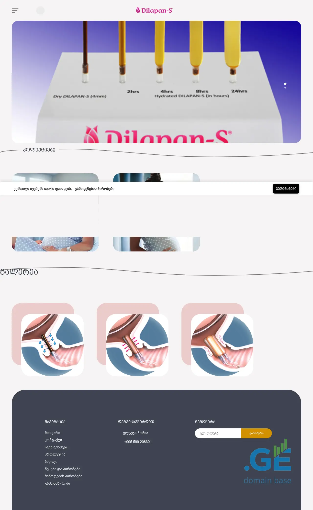 Screenshot of the site dilapan.ge