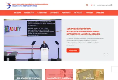 Screenshot of disability.ge