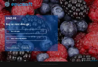 Screenshot of dmz.ge