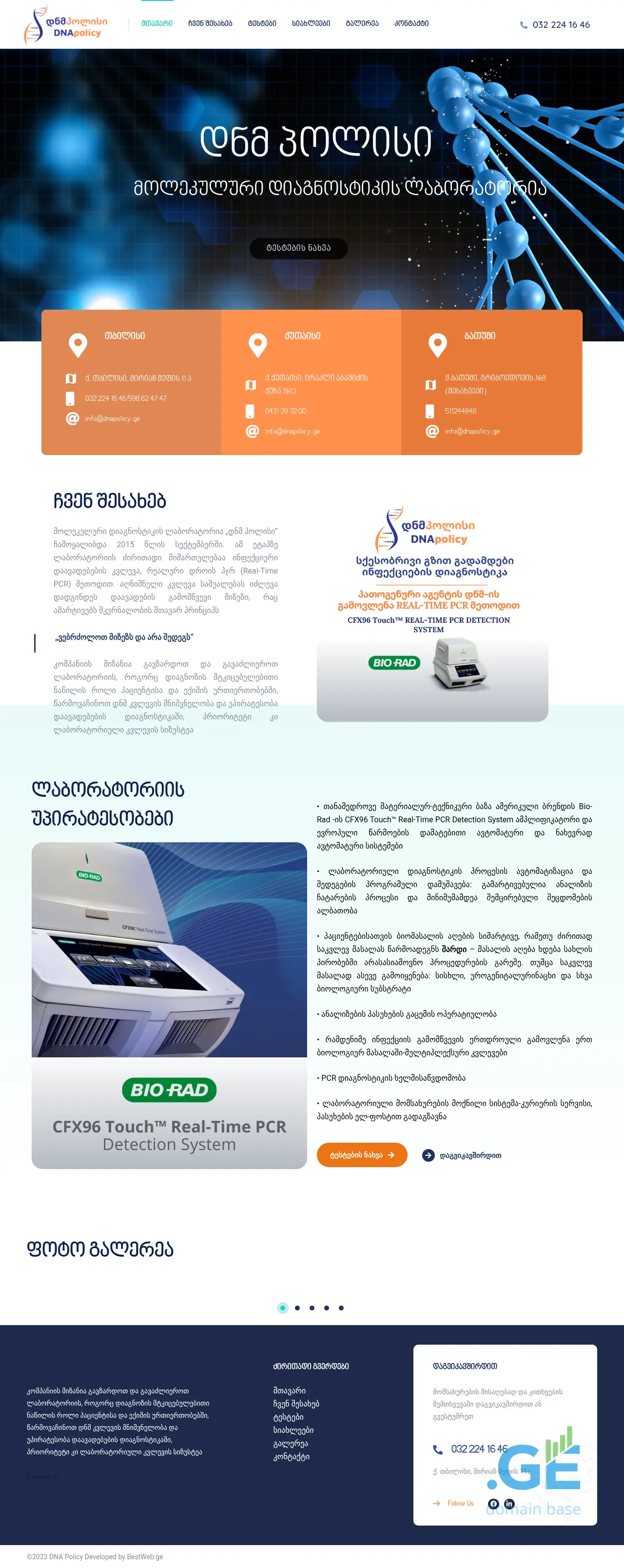 Screenshot of the site dnapolicy.ge