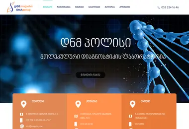 Screenshot of dnapolicy.ge