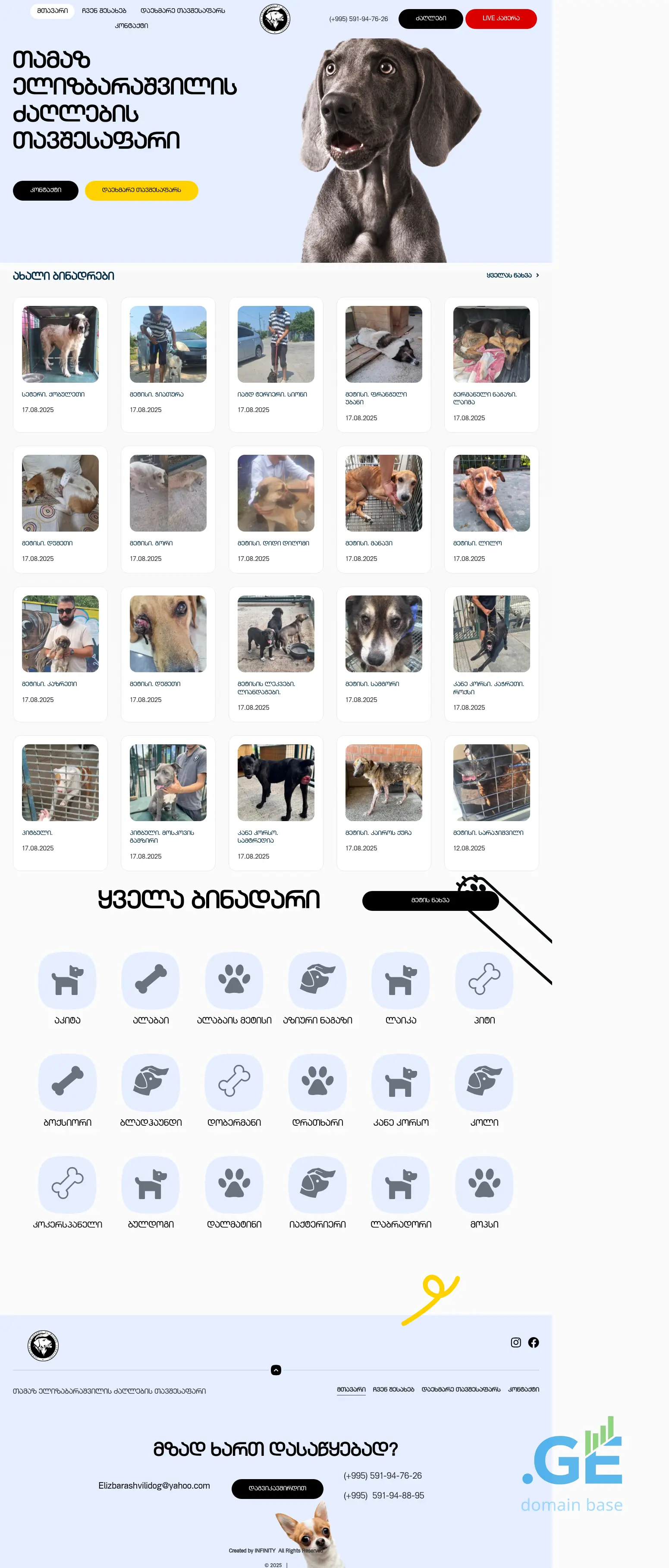 Screenshot of the site doghome.ge