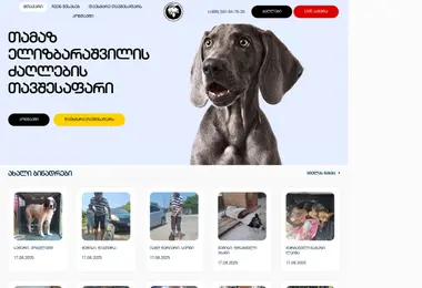 Screenshot of doghome.ge