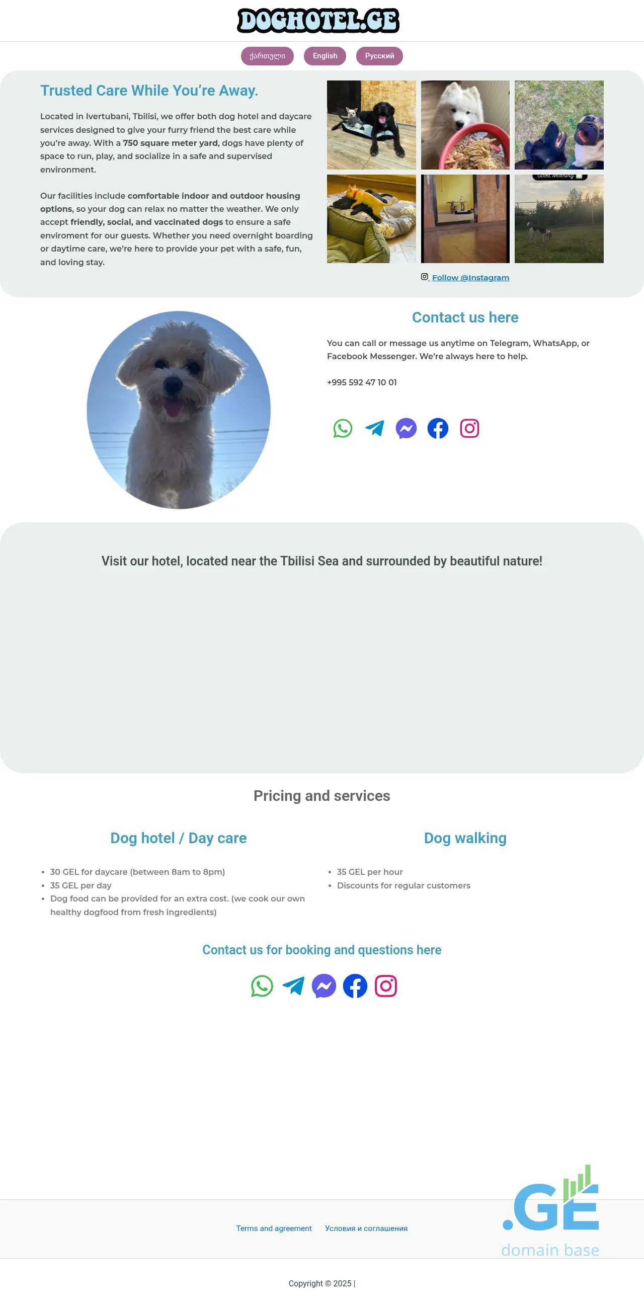 Screenshot of the site doghotel.ge