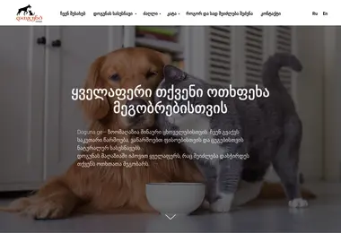Screenshot of doguna.ge