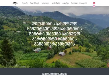 Screenshot of drsc.ge