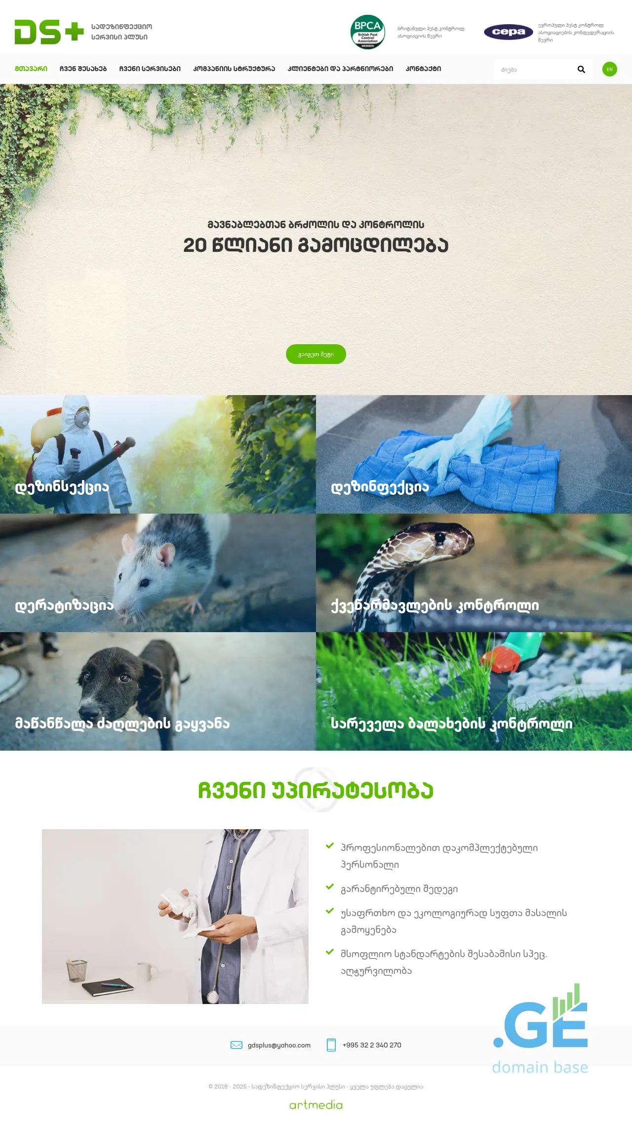Screenshot of the site dsplus.ge