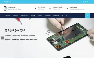 Screenshot of dsv.ge